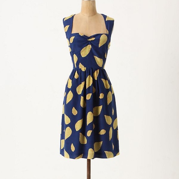 Anthropologie Dresses & Skirts - ANTHROPOLOGIE Maple Tupelo Dress with Pockets! 2